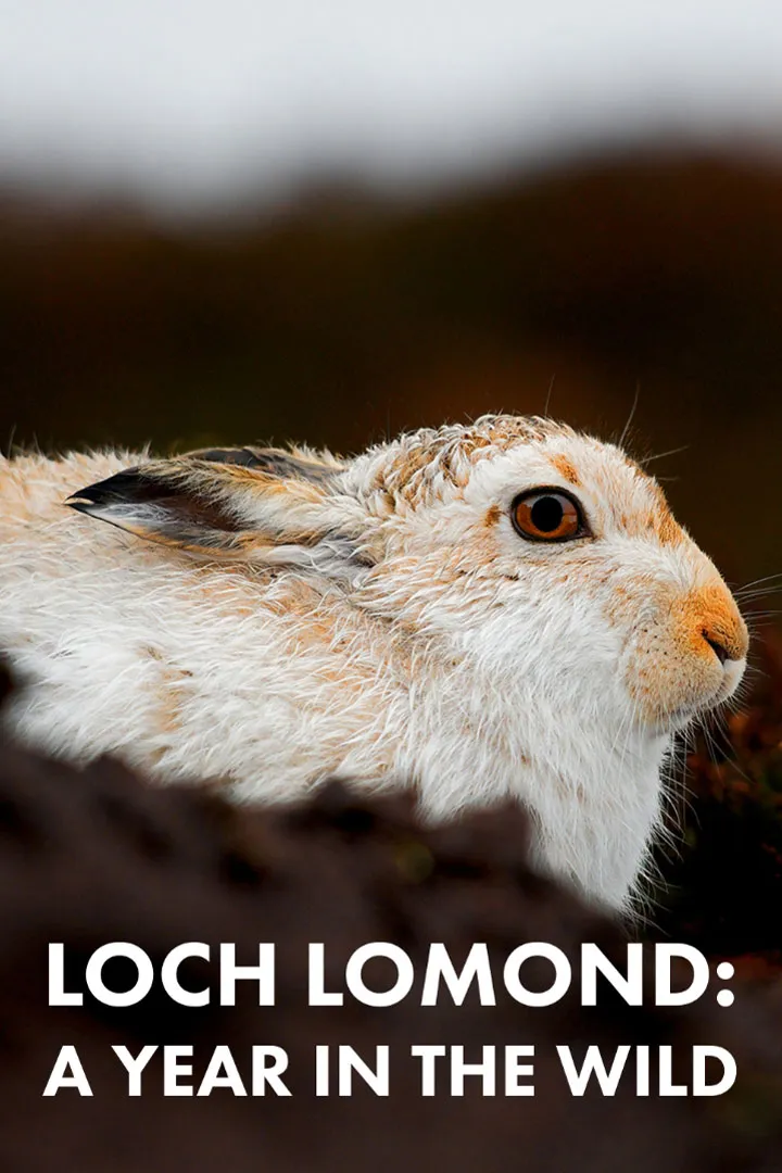 Loch Lomond: A Year in the Wild