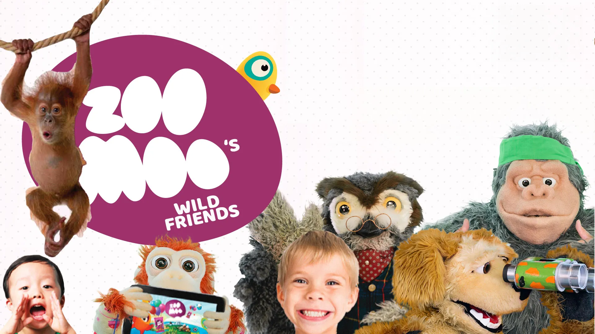 ZooMoo's Wild Friends
