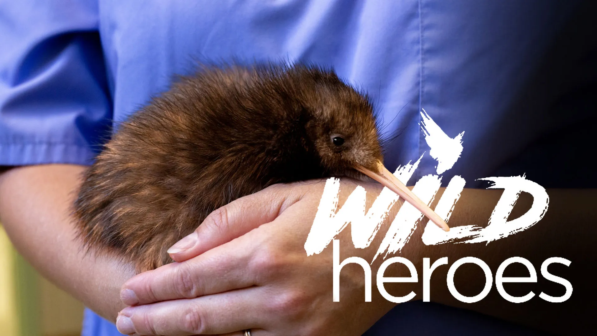 Wild Heroes