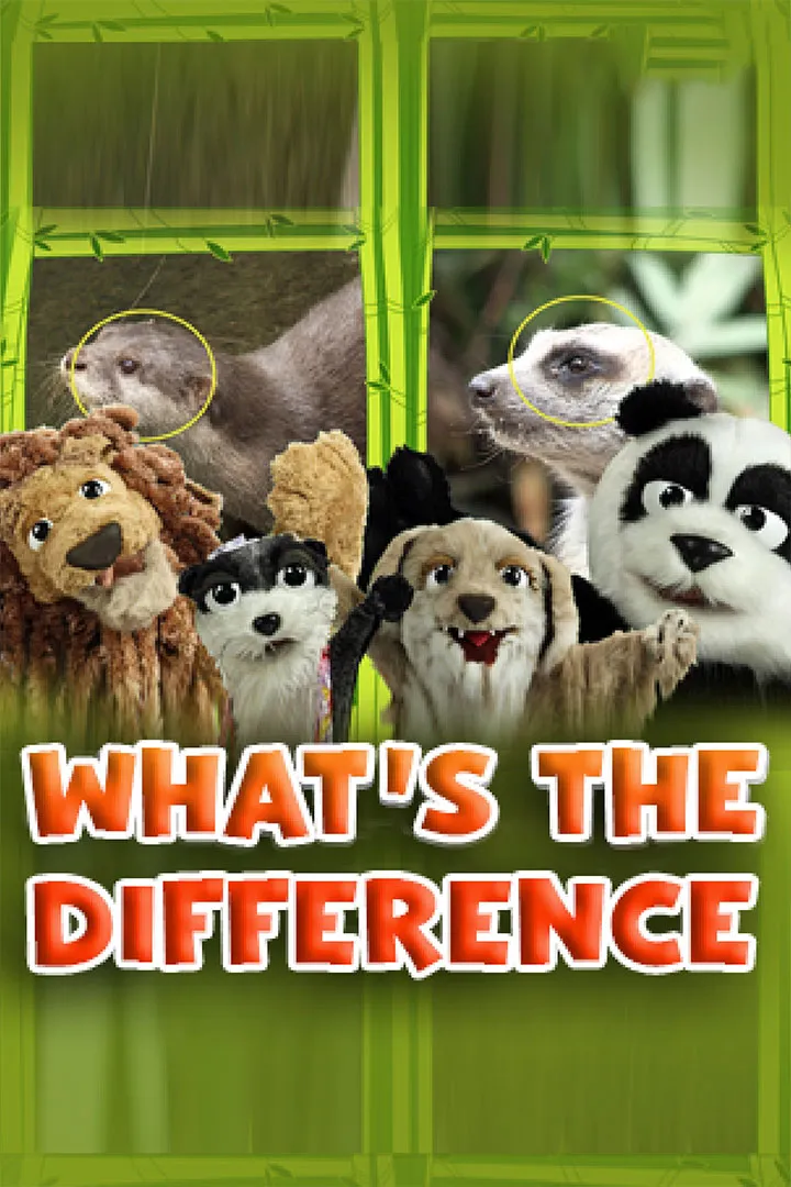 What's the Difference?