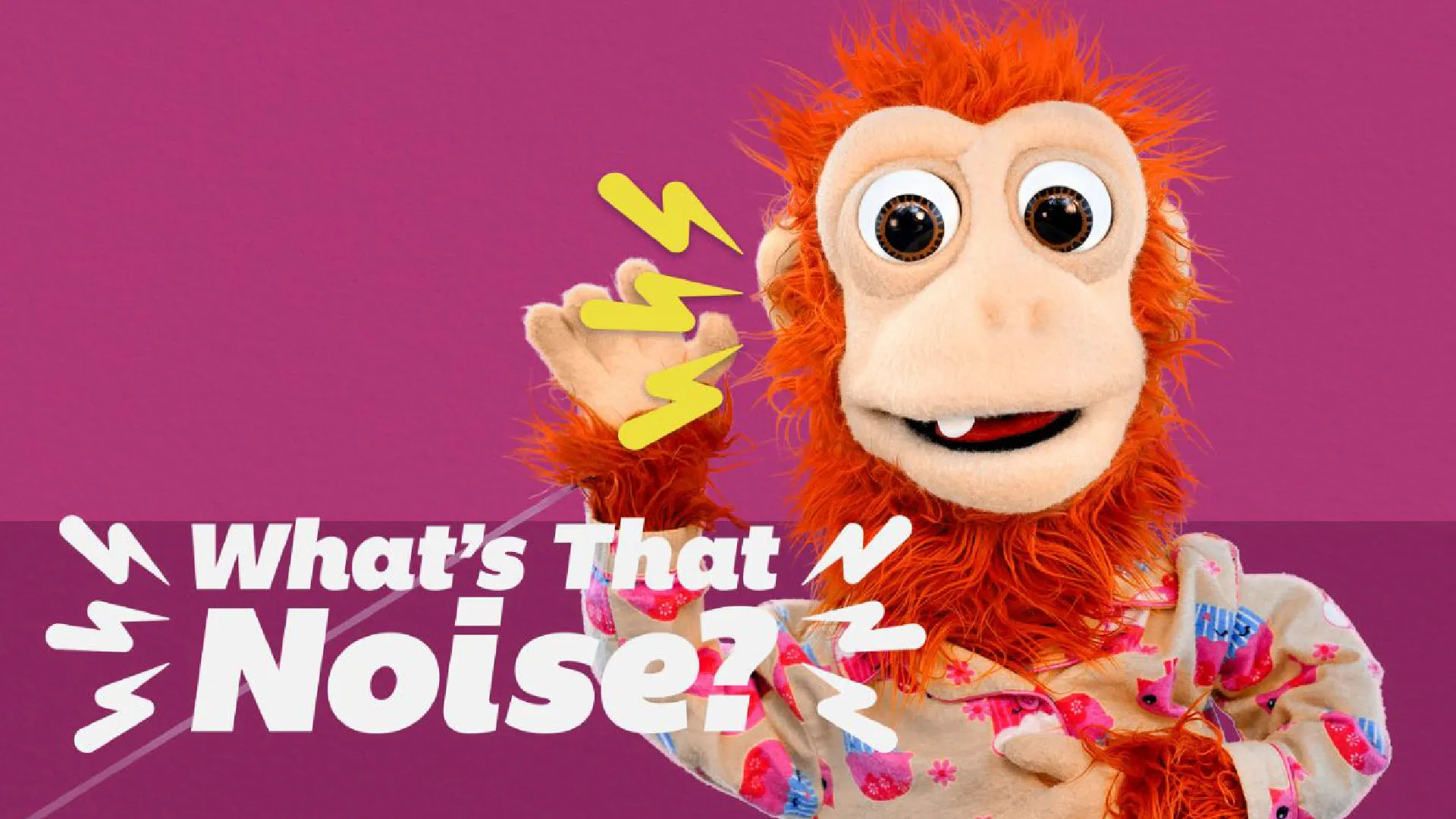 What's That Noise?