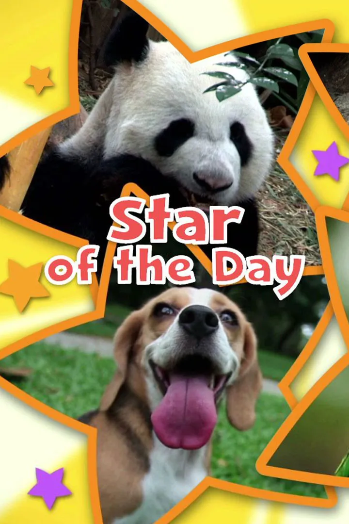 Star of the Day