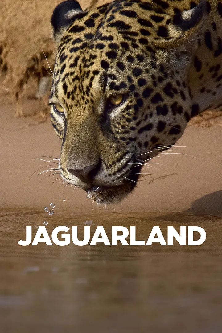 Jaguarland