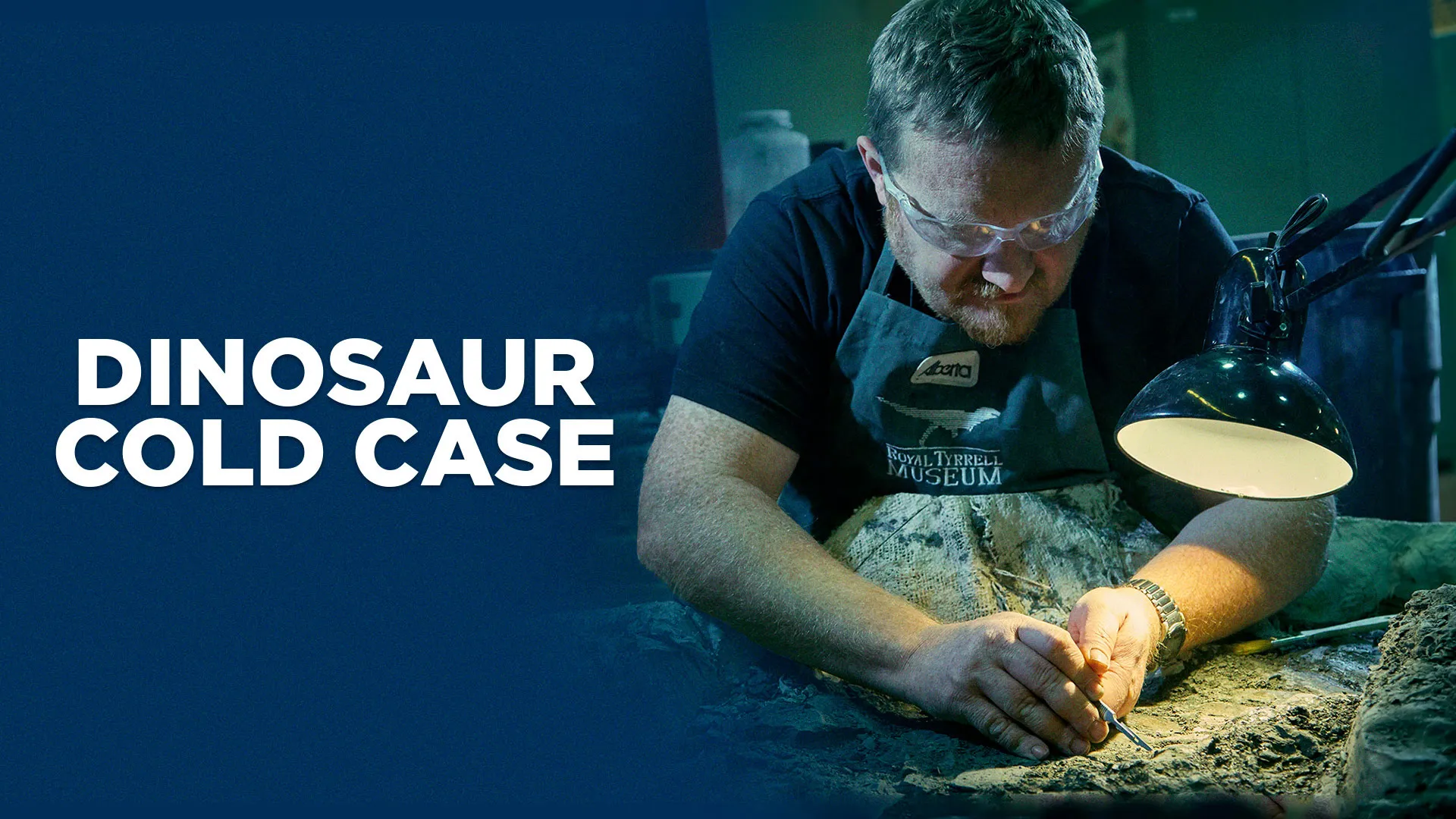 Dinosaur Cold Case