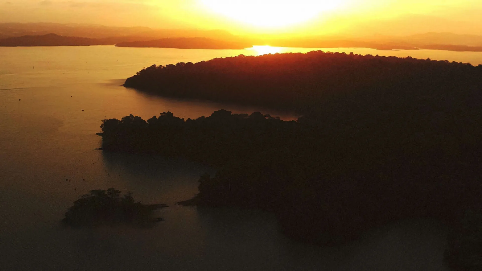 Mysteries of the Rainforest