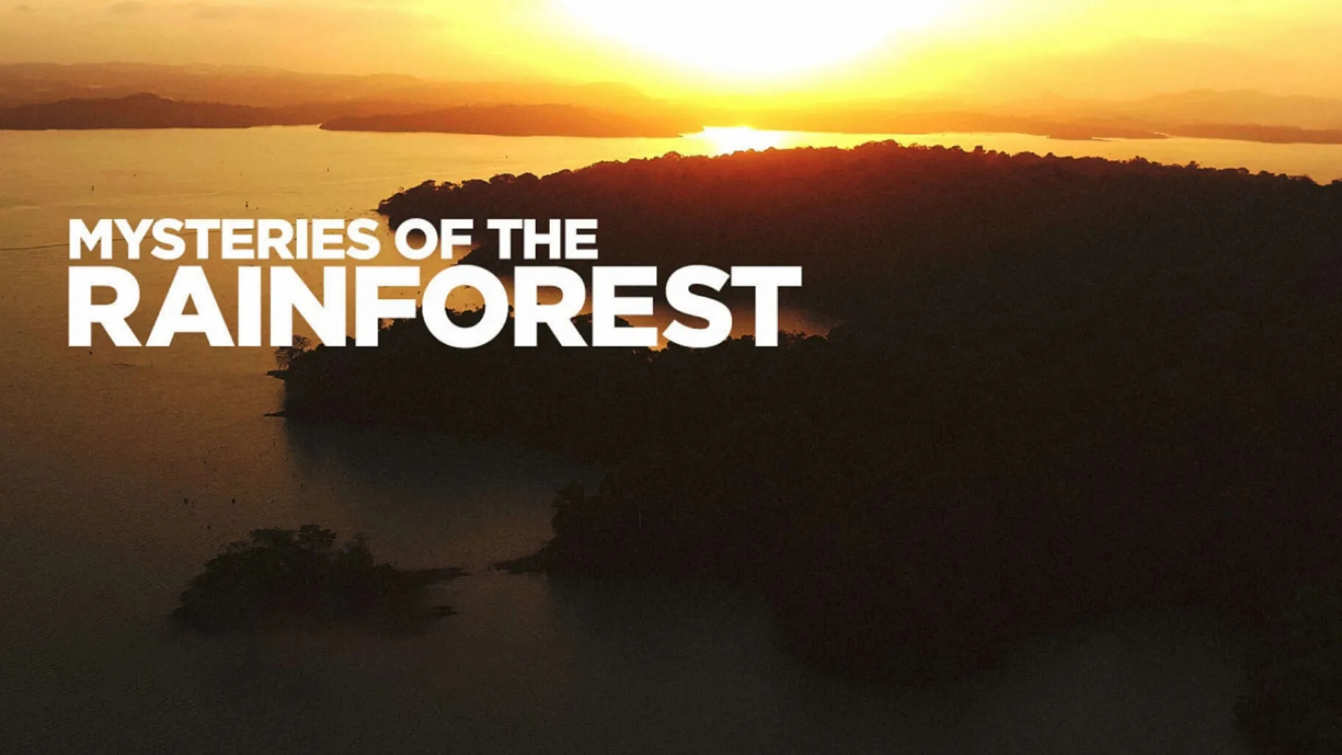Mysteries of the Rainforest