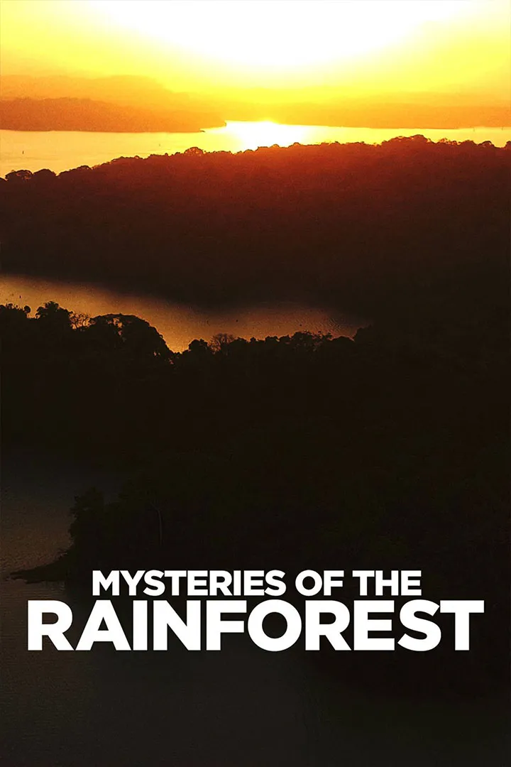 Mysteries of the Rainforest