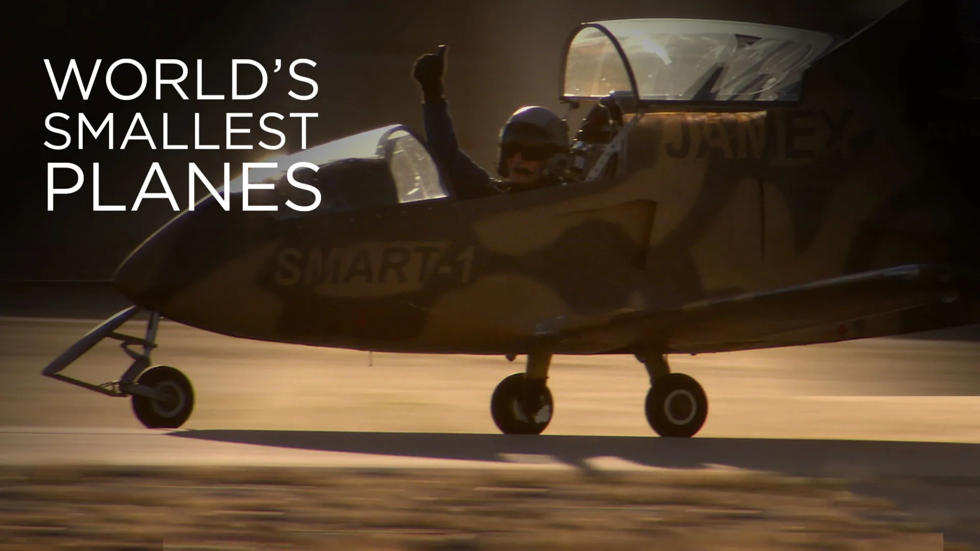 World's Smallest Planes
