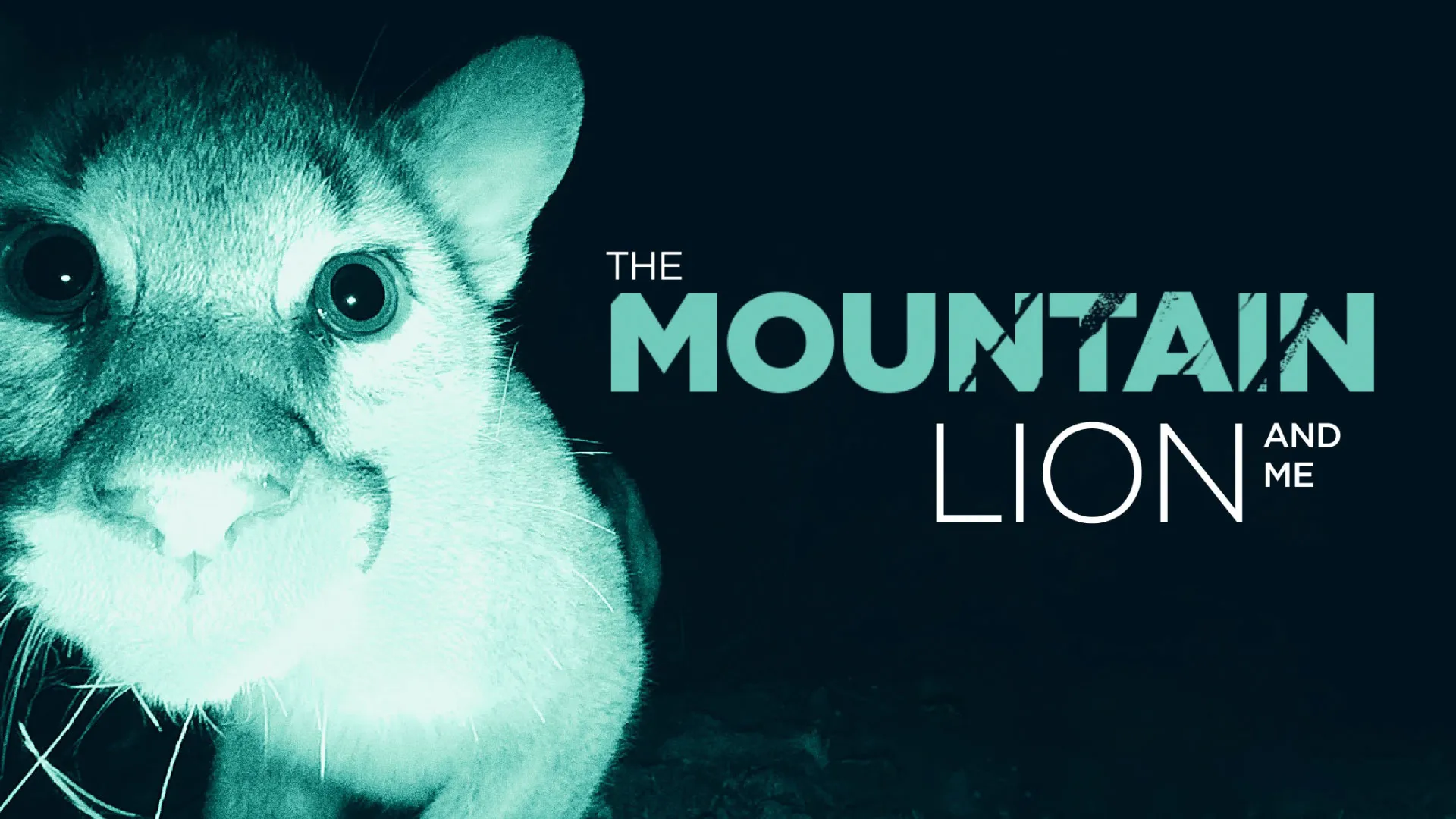 The Mountain Lion and Me