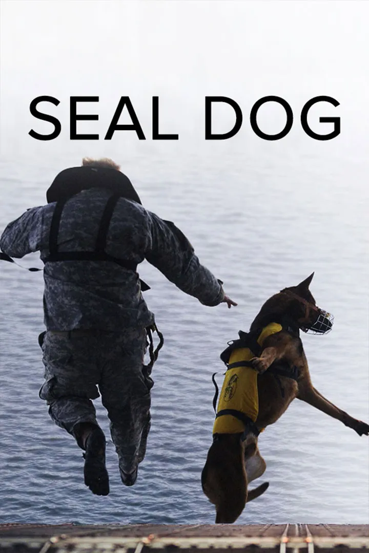 SEAL Dog