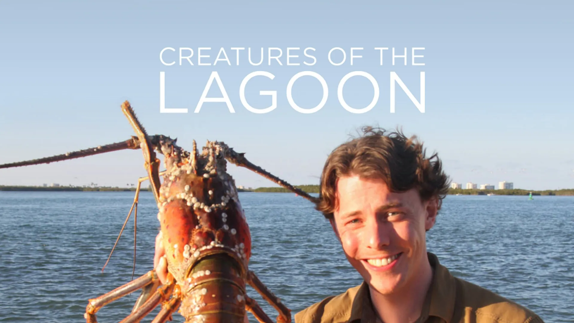Creatures of the Lagoon