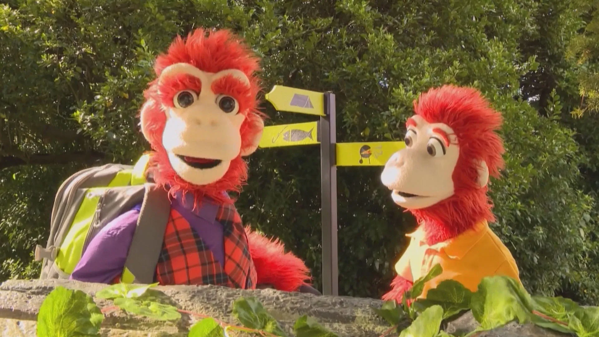 ZooMoo Specials: Doug's Crazy Camping Adventure