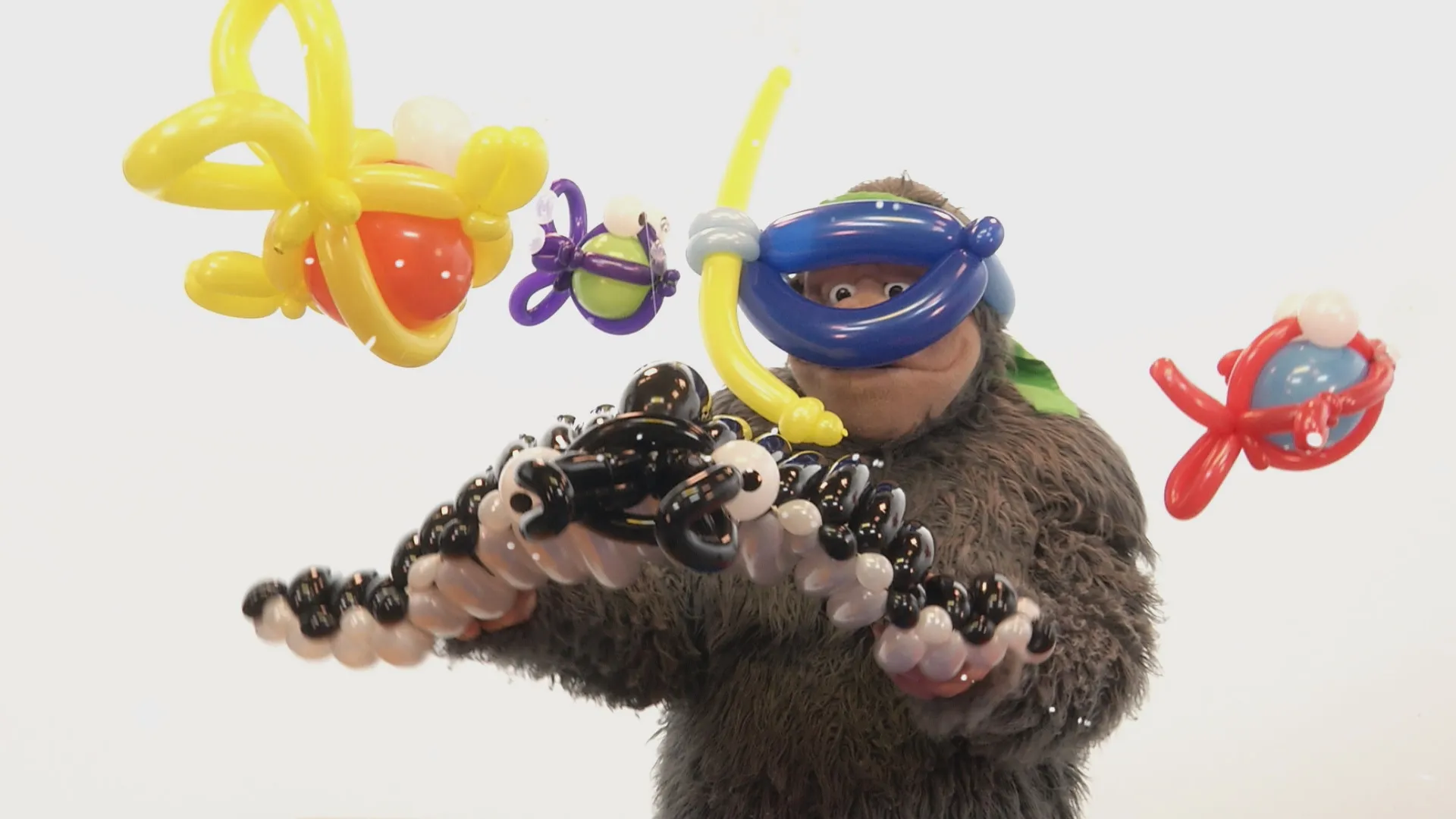 Pop Safari