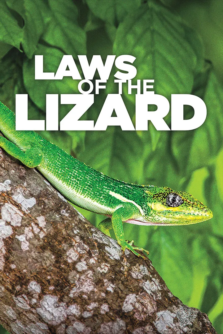 Laws of the Lizard