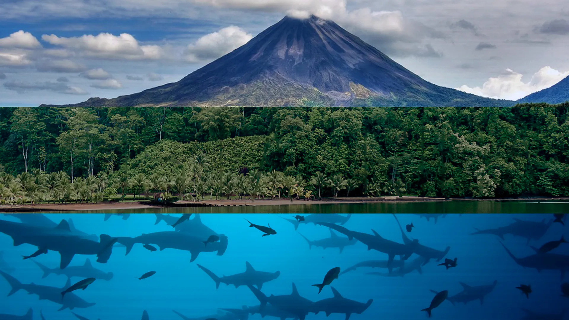 Costa Rica: The Rise of Nature