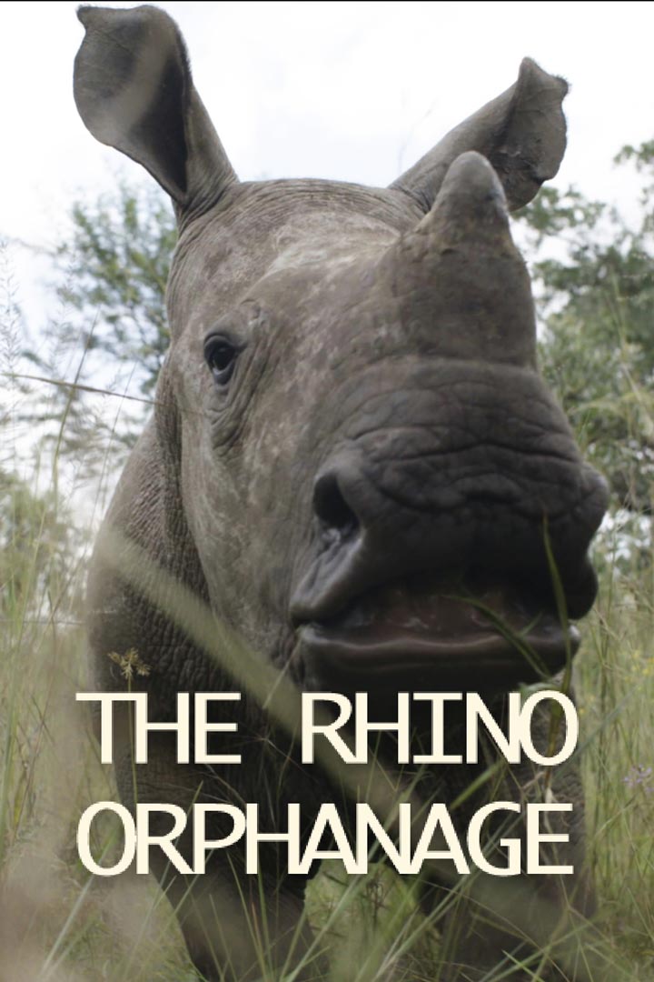 The Rhino Orphanage