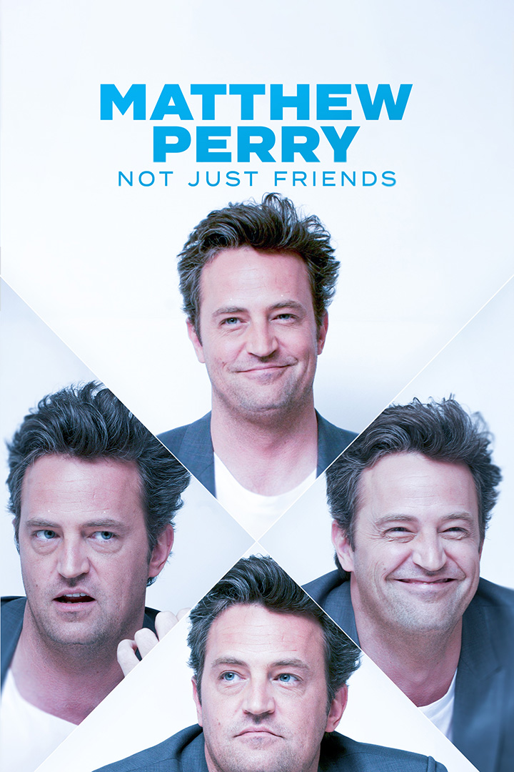 Matthew Perry: Not Just Friends