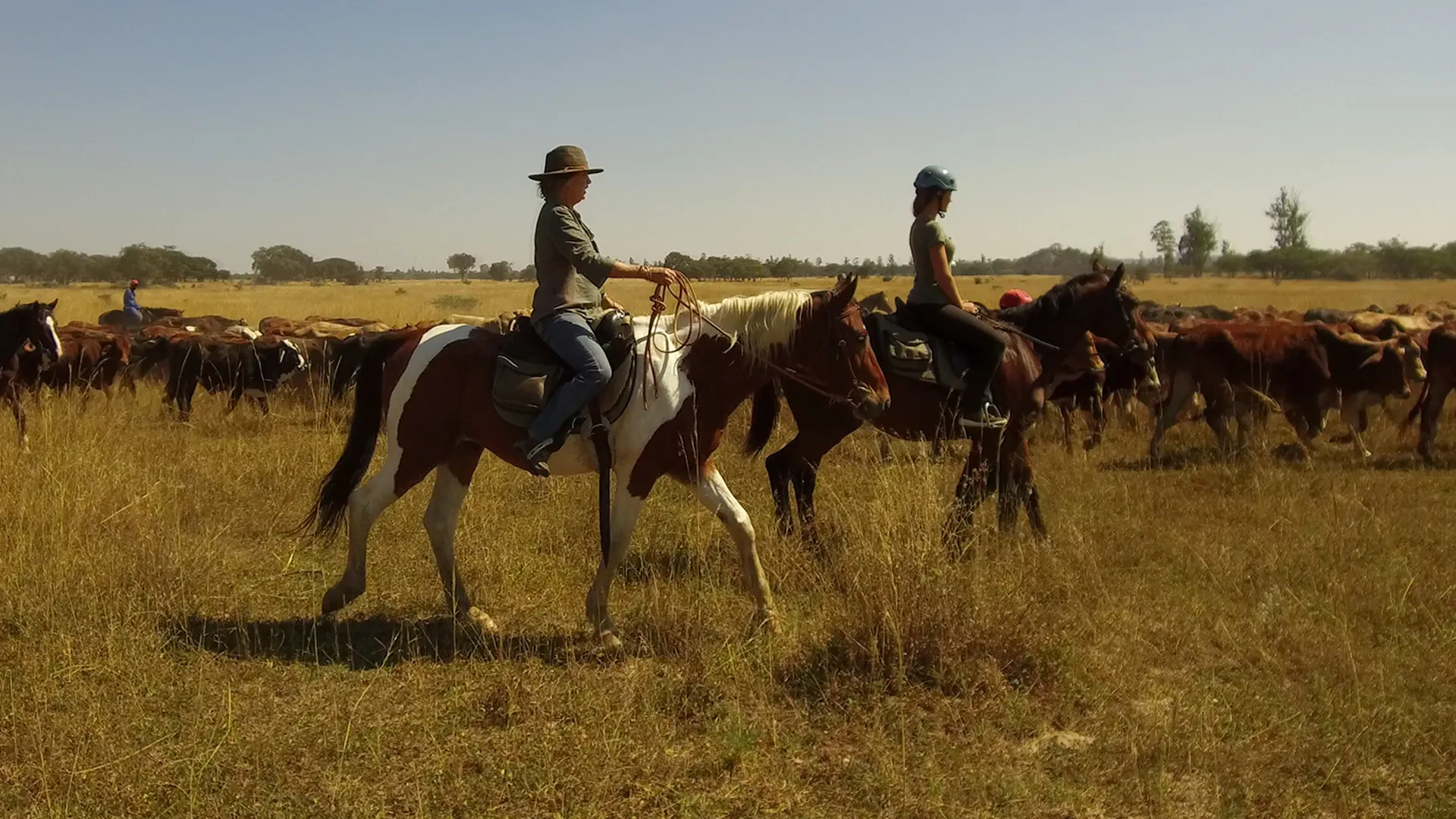 Wild Warrior Encounters