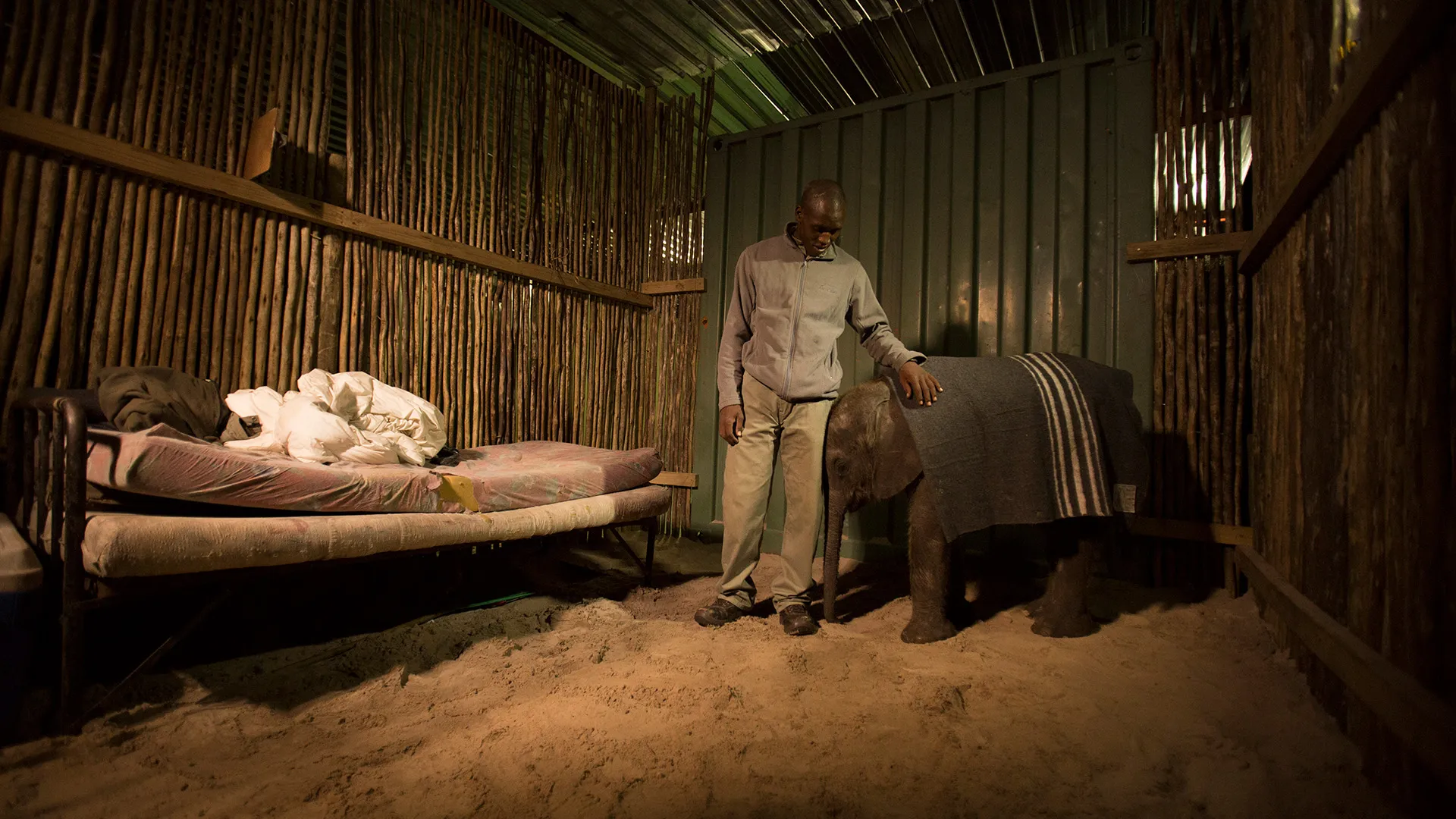 Naledi: A Baby Elephant's Tale