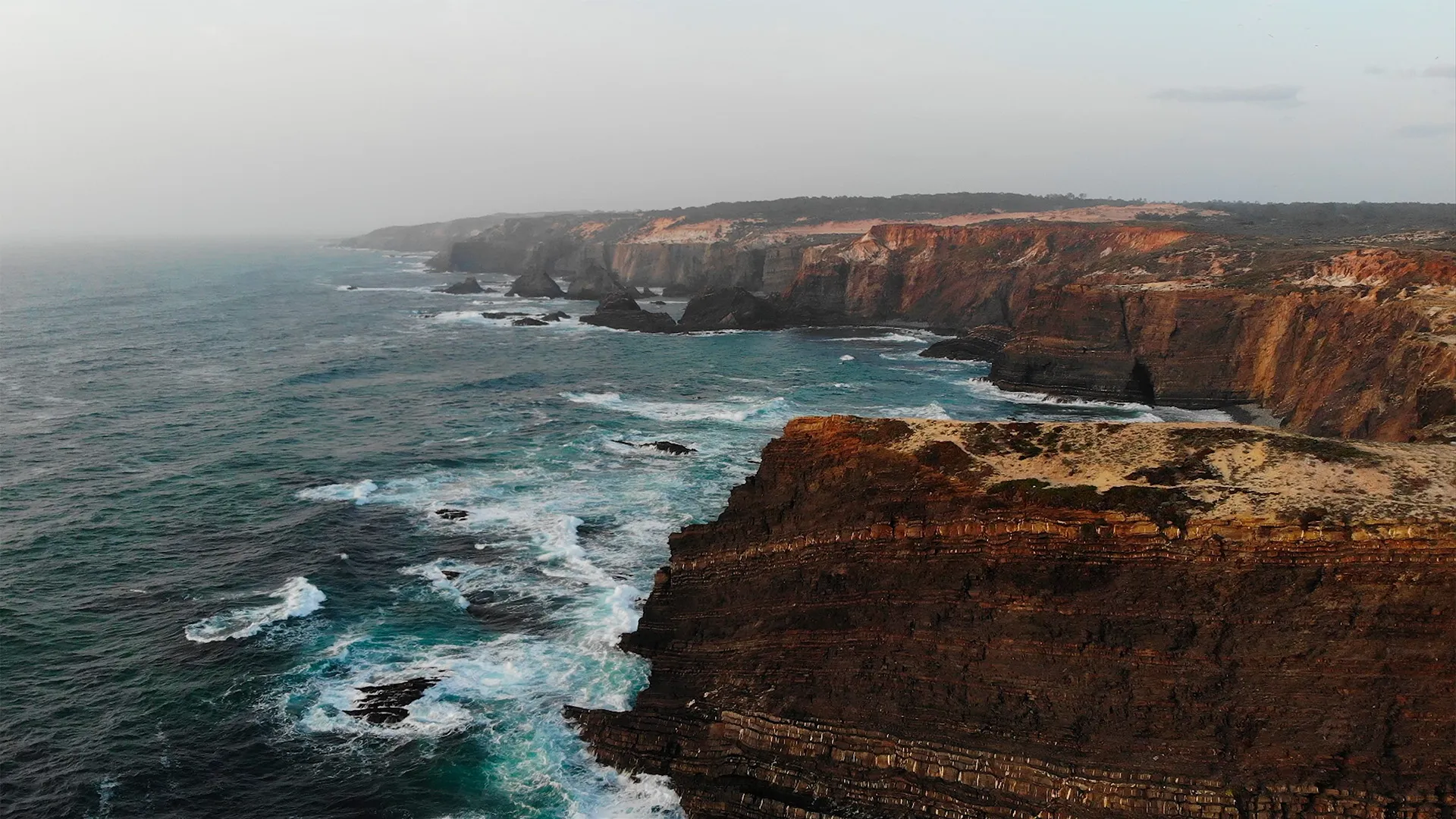 Wild Portugal