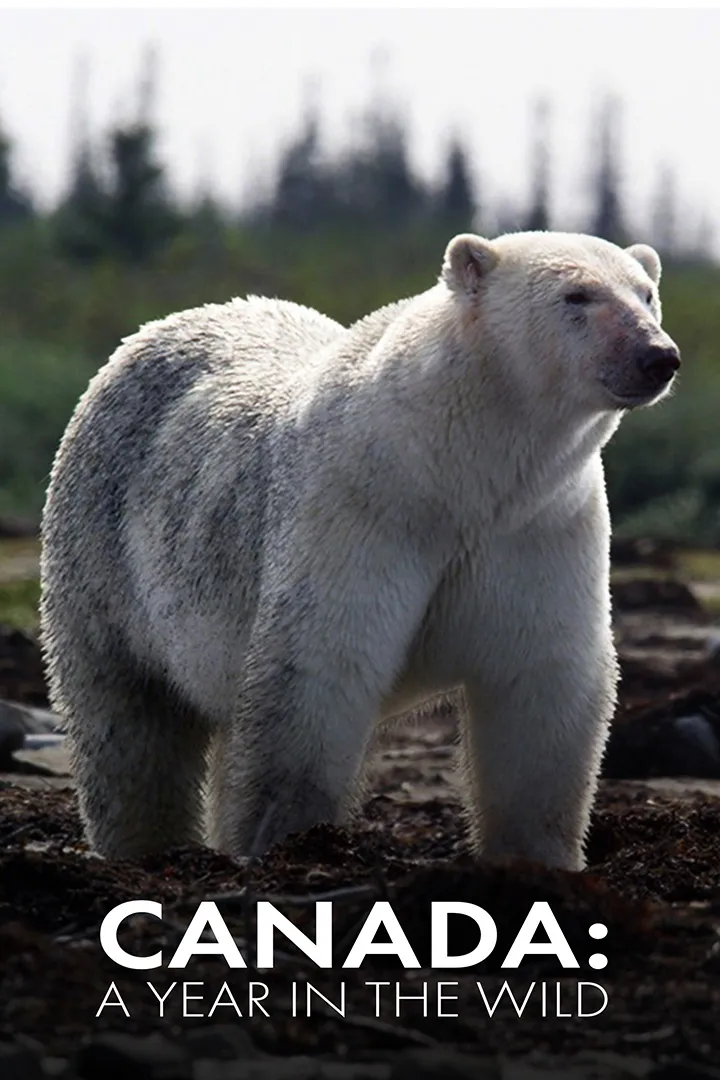 Canada: A Year In The Wild