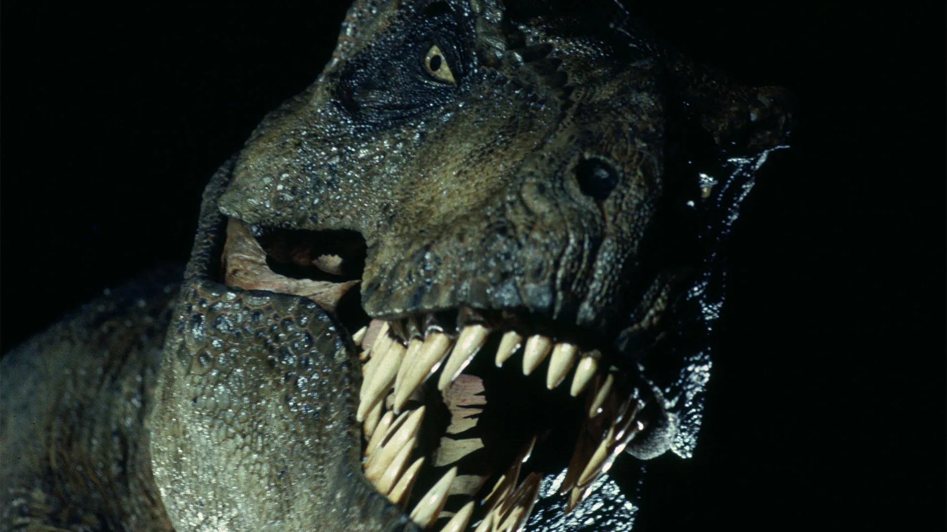 The Roar Returns with Jurassic World: Rebirth Sending Us Back to Where It All Began