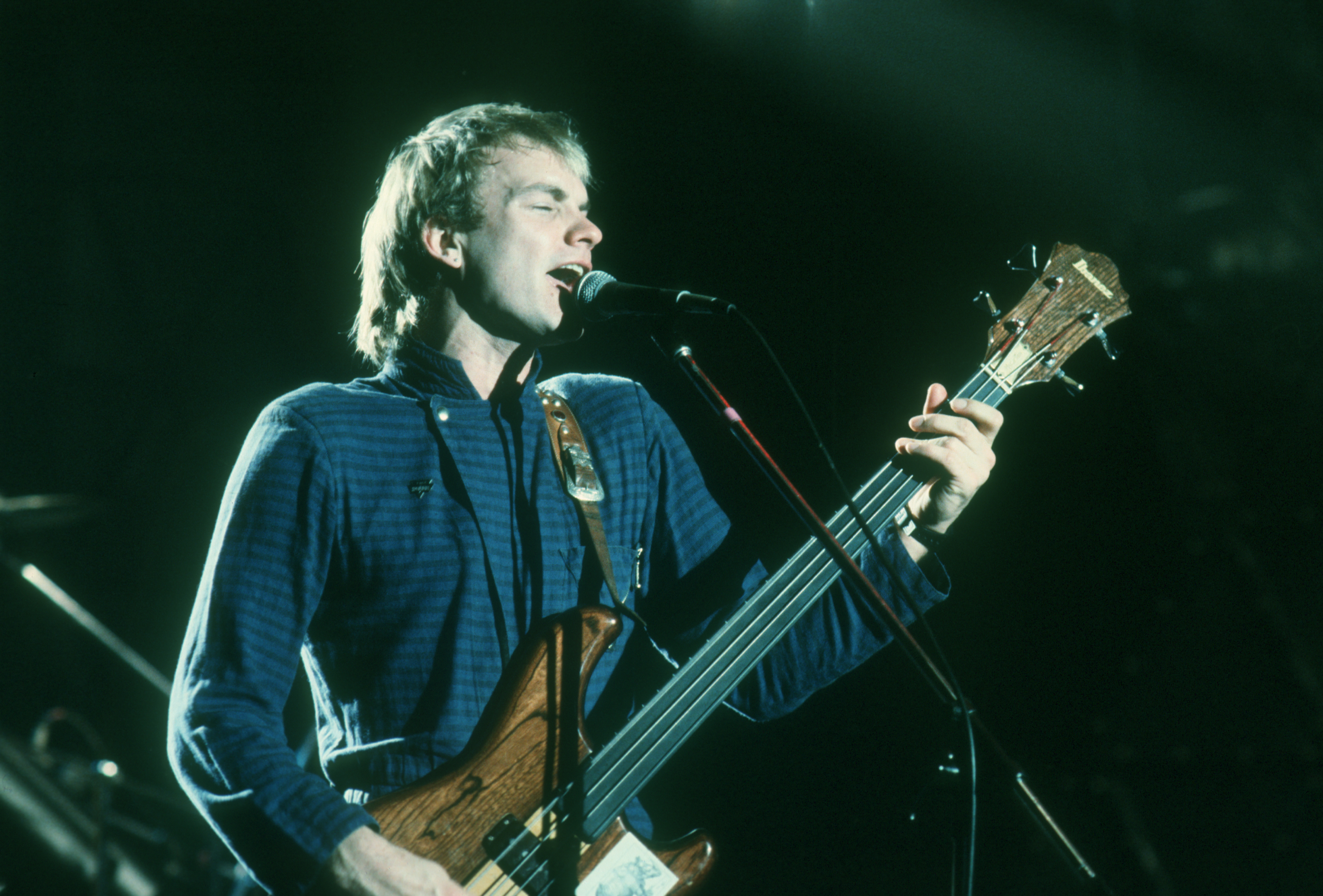 Sting: Ever Evolving