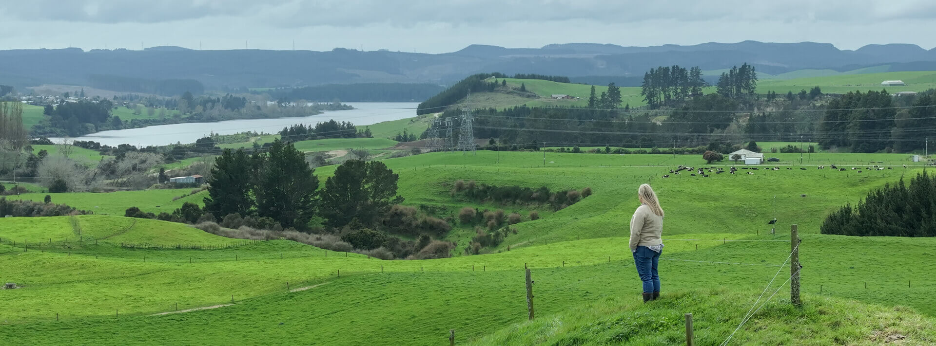 A women standing on a hill in a paddock looking out over the farm.
