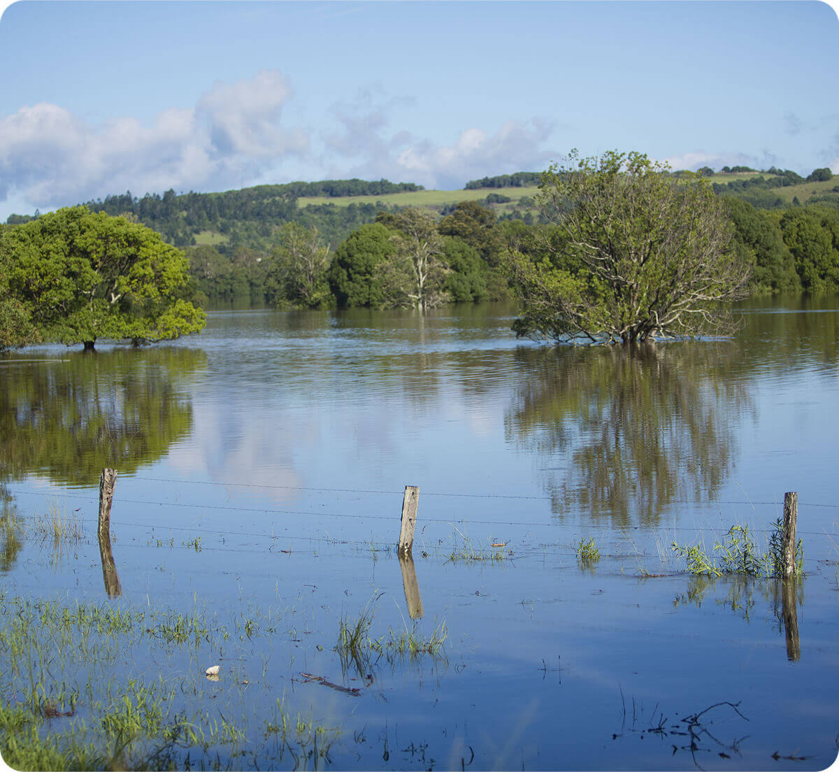 A paddock that is covered in flood water.