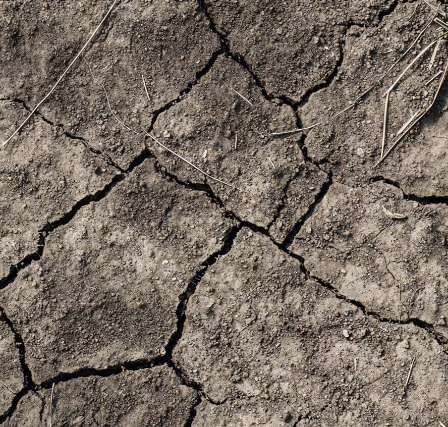 Dry, cracked dirt with some dead grass.