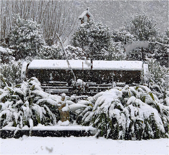 A garden that is covered in a few inches of snow with snow still falling. 