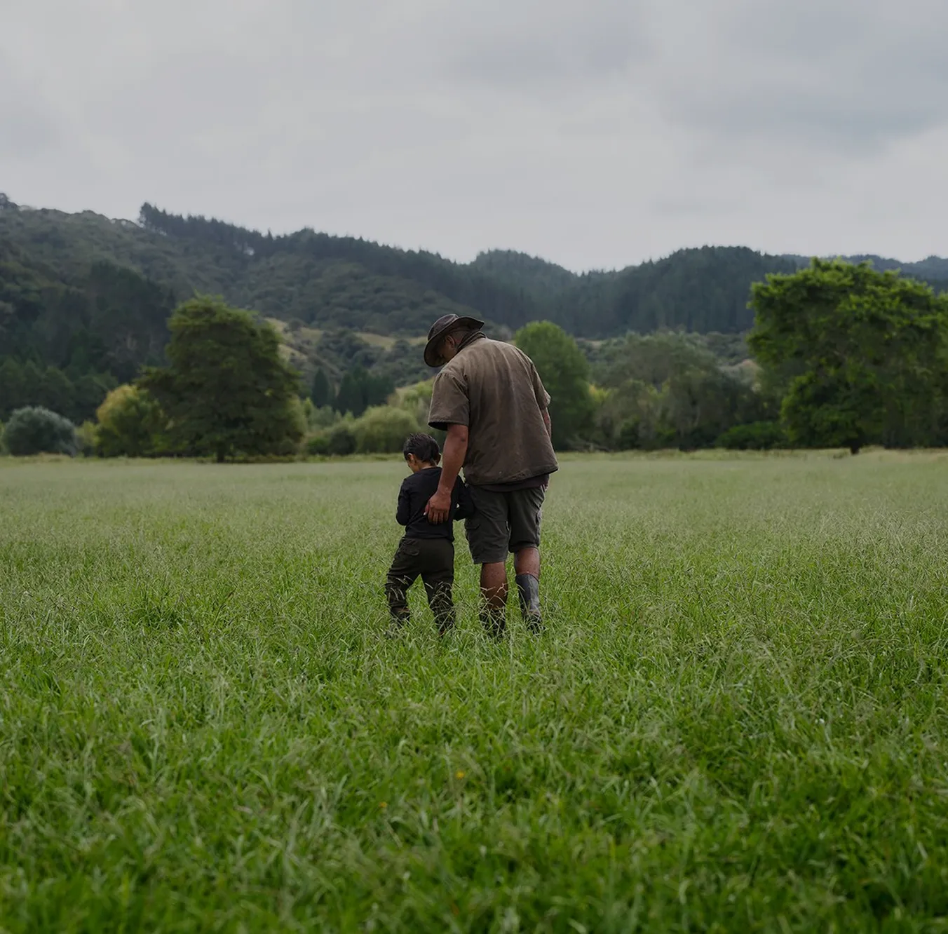 Adult and child walking together in a grassy field with trees and forested hills in the background under a cloudy sky.