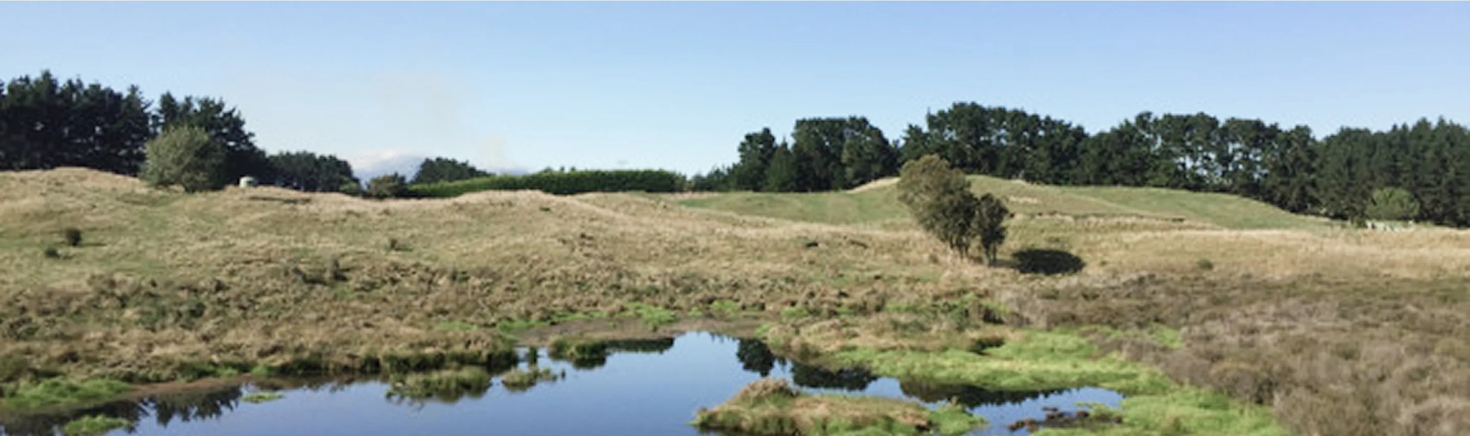 Parahamuti landscape photo