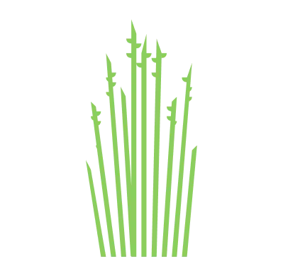 Parahamuti flora icon