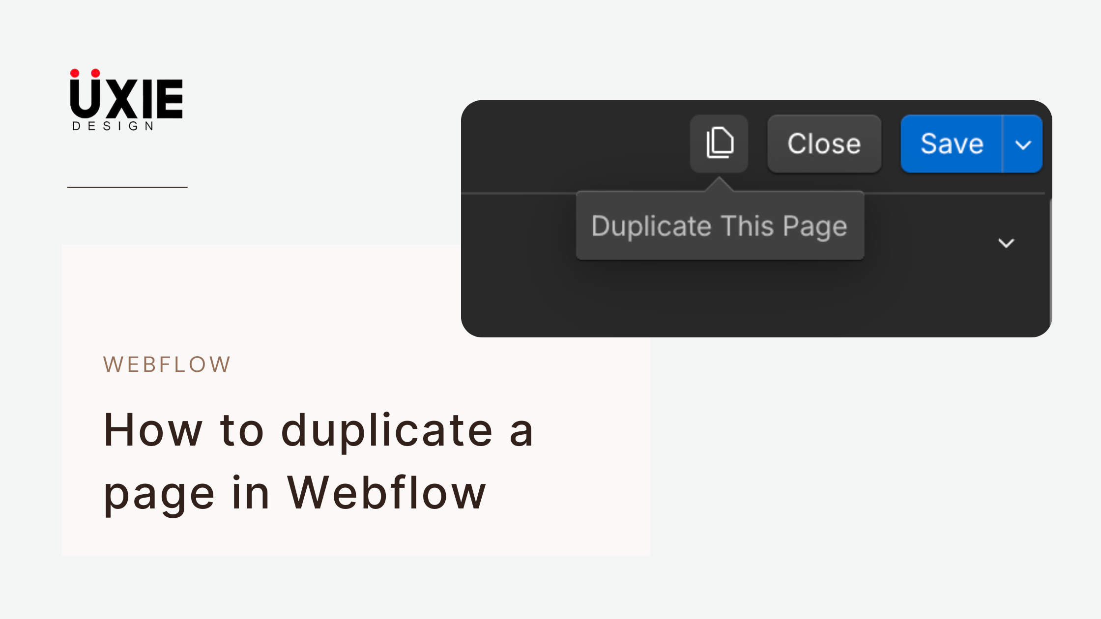 How to Duplicate a Page in Webflow  -   A complete guide