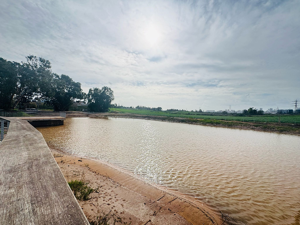 Article Thumbnail Image