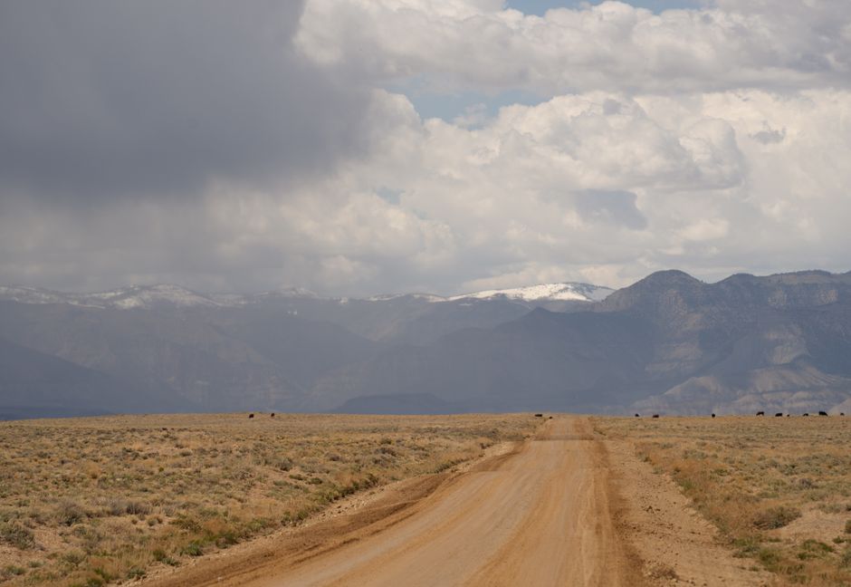 How to Determine Filter Replacement Frequency in Dusty Climates