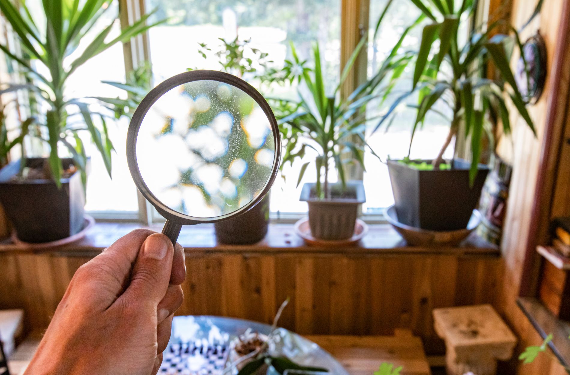 Reducing Indoor Air Pollution With Whole House Air Scrubbers In Stockton