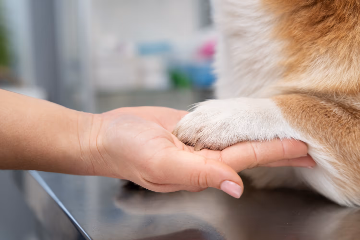 Errors and Veterinary Identities