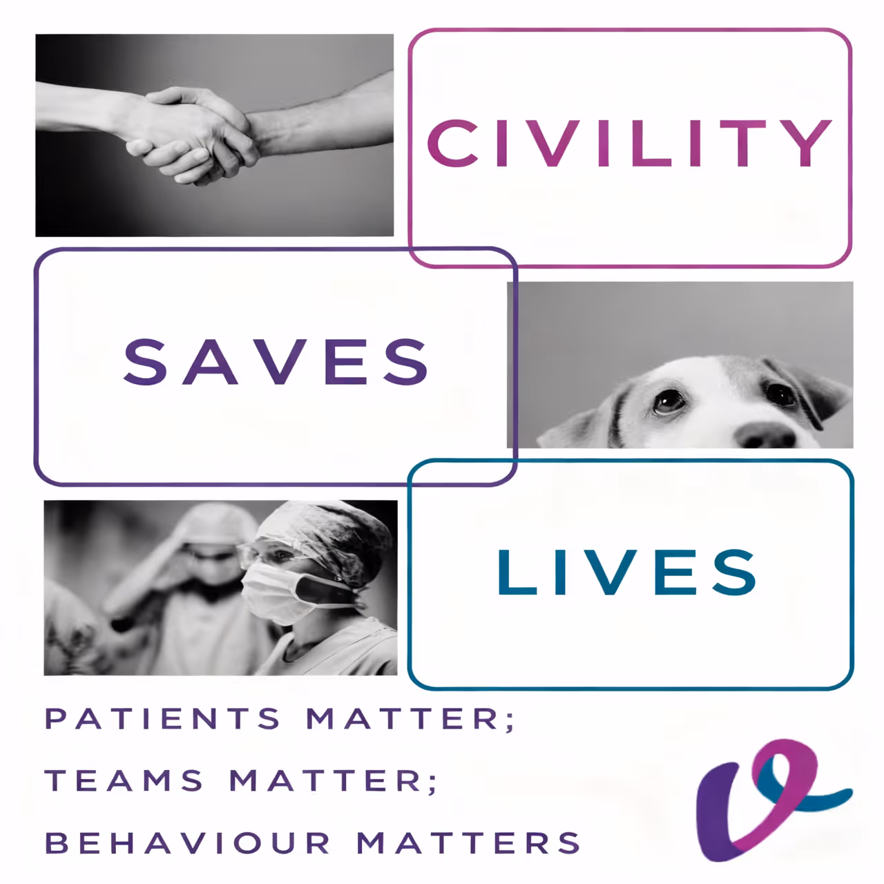 VetLed Civility Saves Lives Campaign