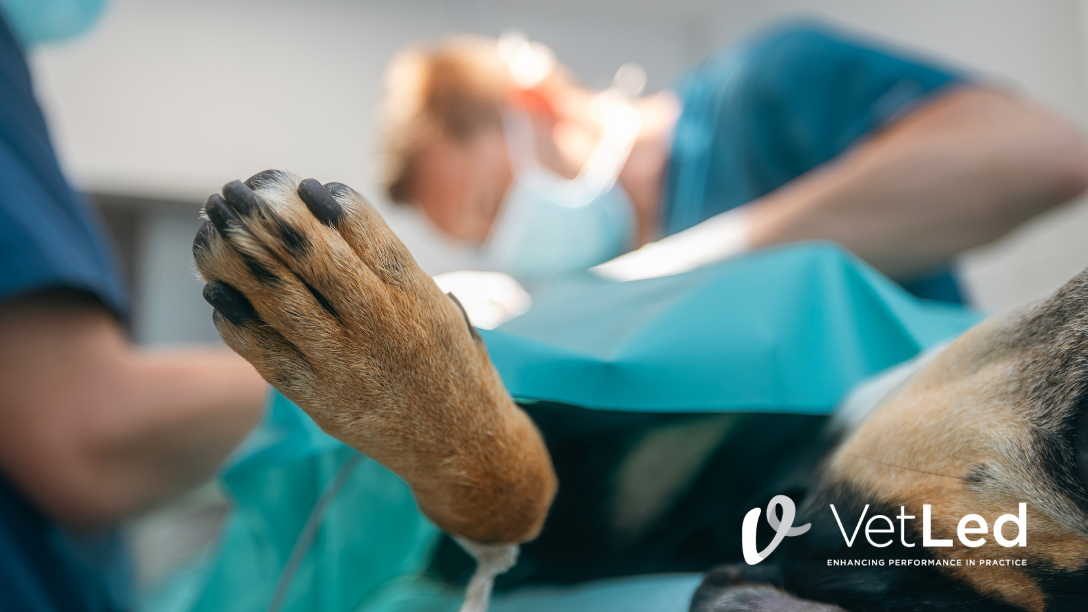 Performing Under Pressure – When Being Good at Your Job Sometimes Isn’t Enough