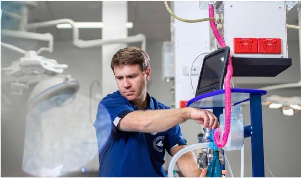 VetLed Collaborator Earns International Patient Safety Certification