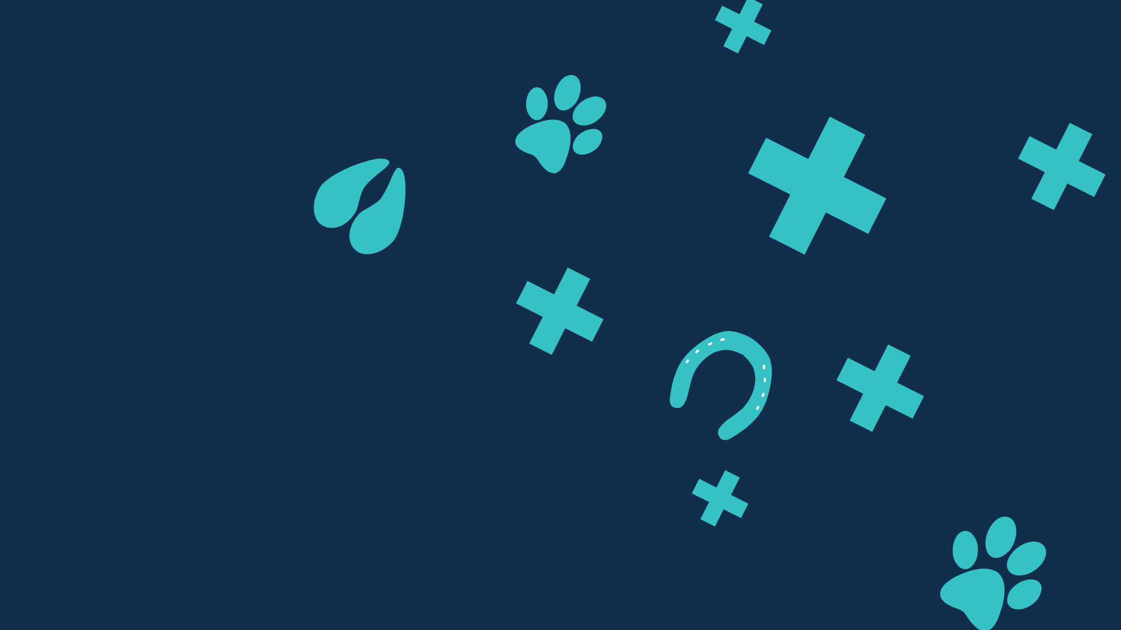 Veterinary Patient Safety Summit 2026 - Patient Safety in Action: Being a Champion for Safe Patient Care