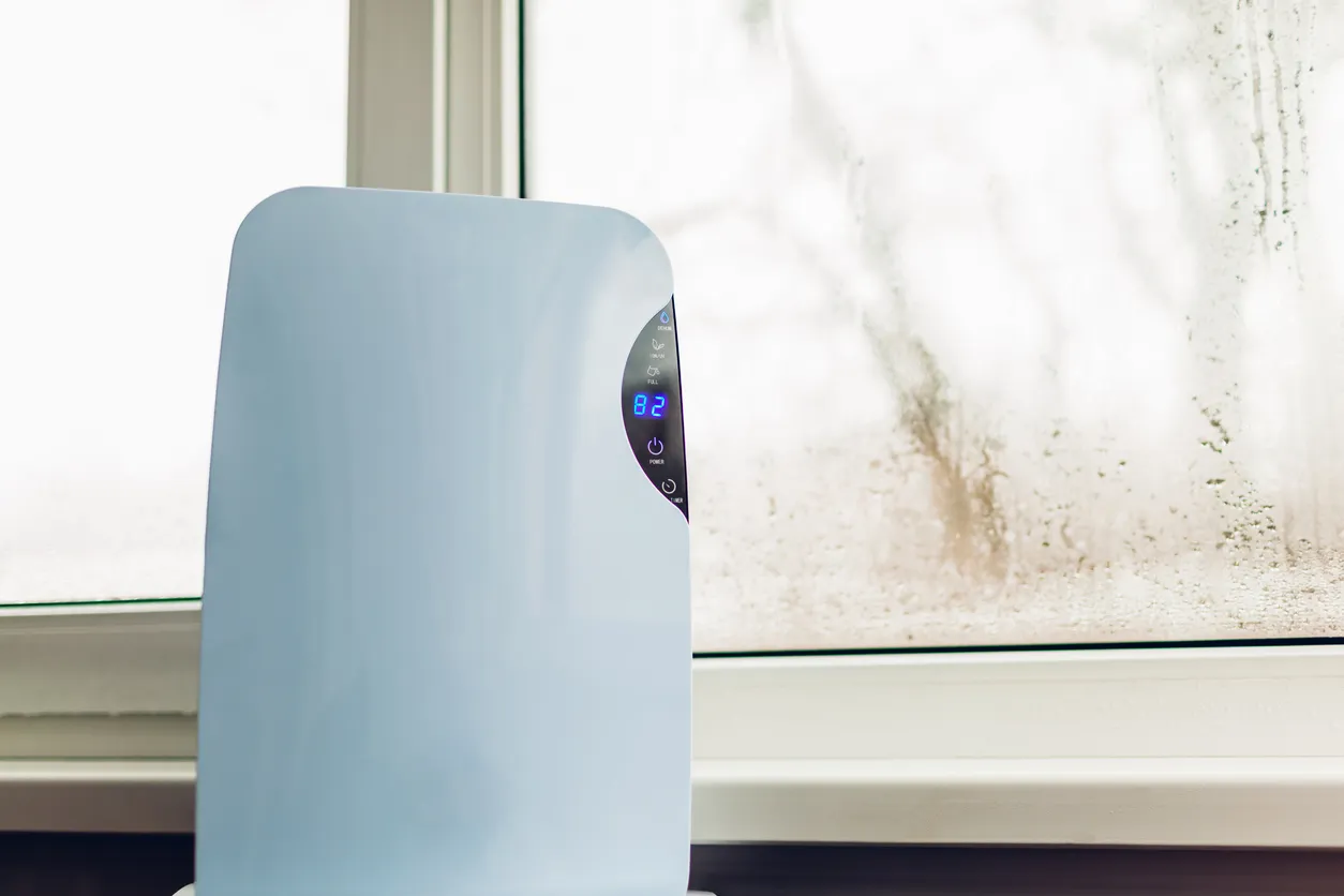 A white dehumidifier unit sits on the floor near a window