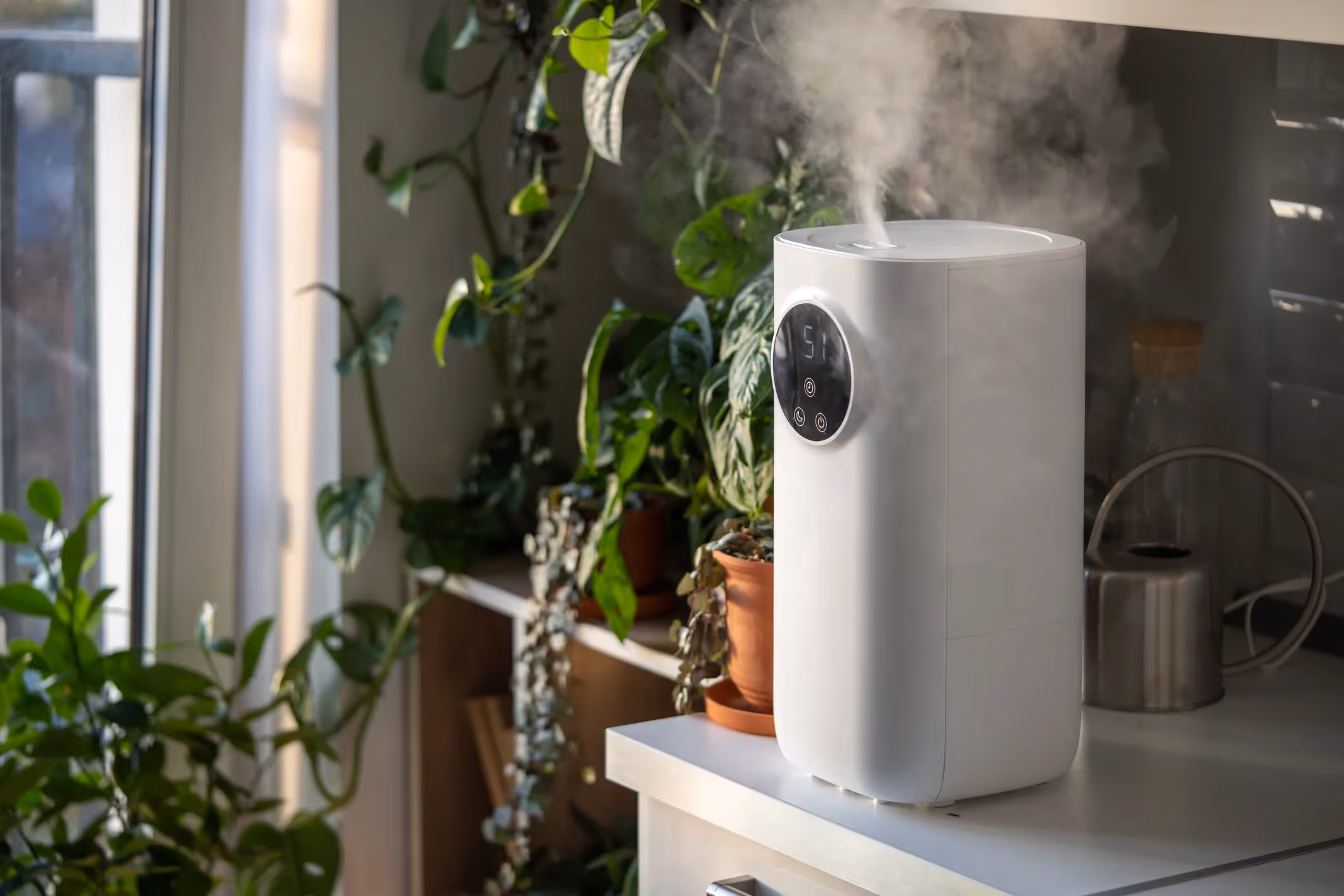 White humidifier emitting mist on countertop surrounded by green plants
