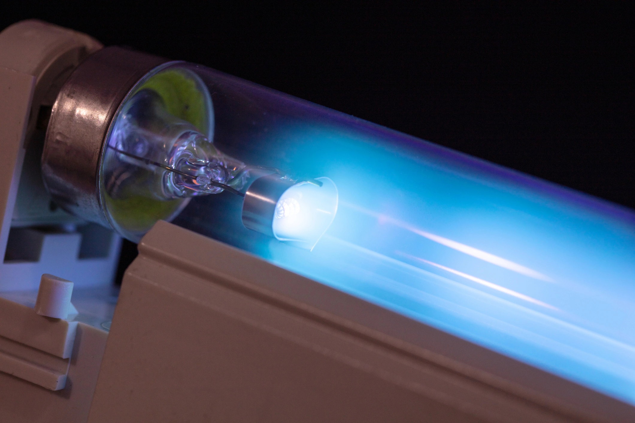 Close-up of a glowing blue UV light bulb in a transparent tube