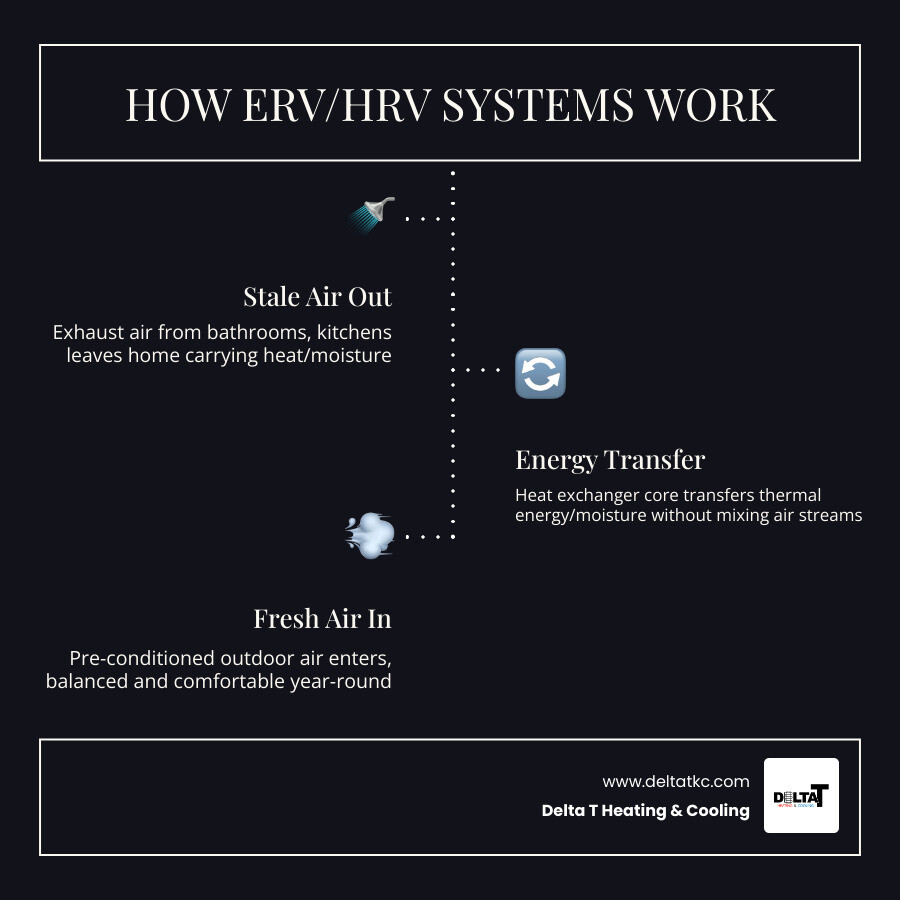 Infographic showing how ERV and HRV systems exchange stale and fresh air while recovering heat and moisture - erv and hrv