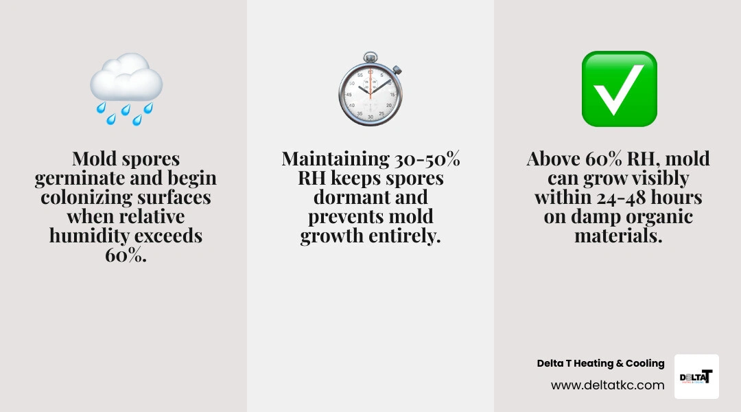 Infographic showing the 24-48 hour mold colonization cycle with humidity thresholds from 30% safe zone to 60% risk and 70% Infographic showing the 24-48 hour mold colonization cycle with humidity thresholds from 30% safe zone to 60% risk and 70%