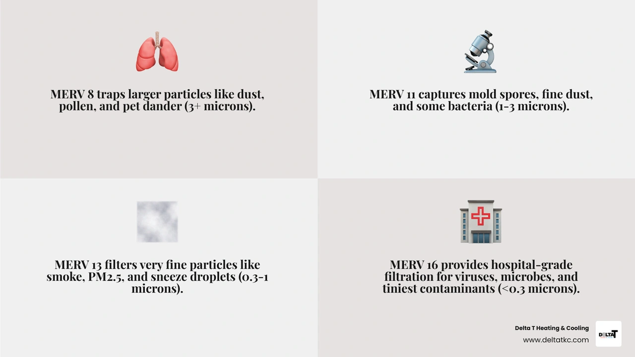 Infographic showing how air filters trap contaminants like dust, pollen, pet dander, mold, and smoke at different MERV