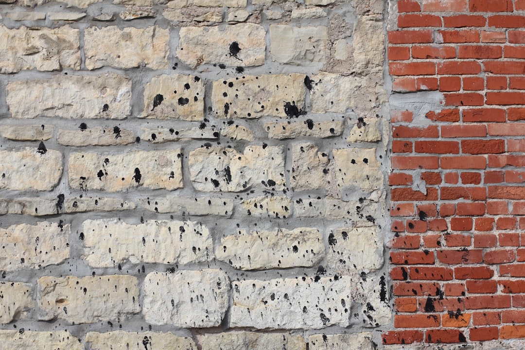 Mold Prevention Tips for Kansas City Metro Homeowners: Stop Spores in Their Tracks
